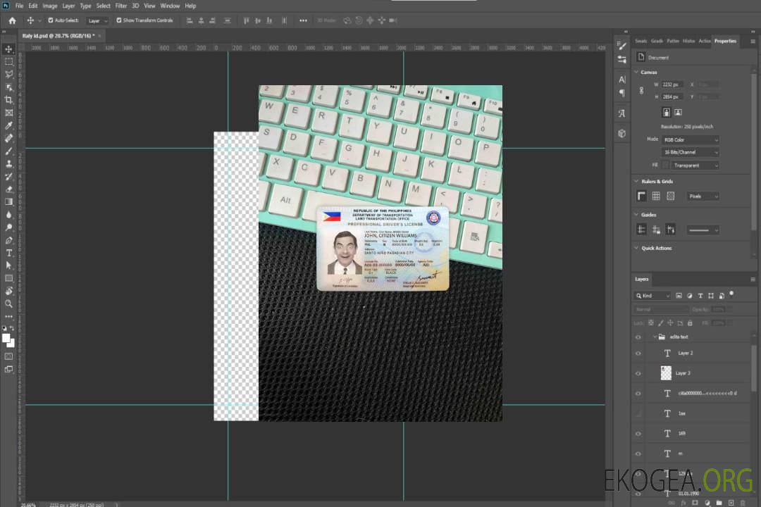 Photolook du permis de conduire des Philippines AVANT template